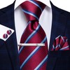 Hi-Tie Classic Mens Silk Ties Set 4 PCS Necktie Pocket