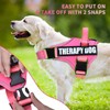 Dog Vest Harness and Leash Set, Animire Reflective Service Dog