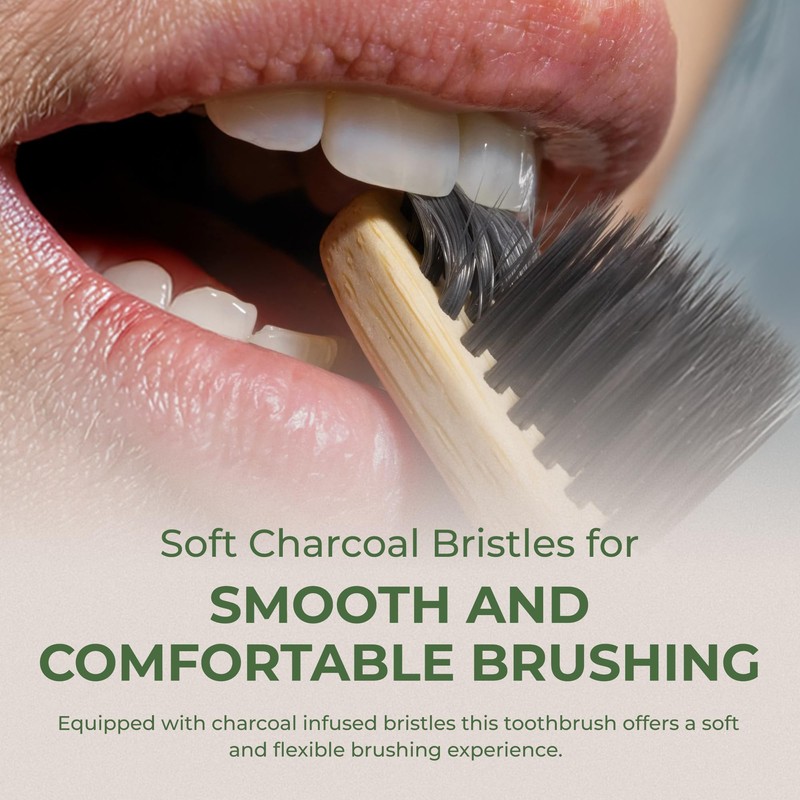 Pursonic Wide Head Toothbrush Set with Cedarwood Wooden Handle &