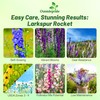 Outsidepride Mixed Rocket Larkspur Seeds for Planting Outdoors - 1000