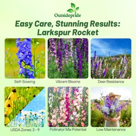 Outsidepride Mixed Rocket Larkspur Seeds for Planting Outdoors - 1000 Pcs Annual, Self-Seeding, Heat & Drought Tolerant Wildflower Seeds for Cut Flower Arrangements & Pollinator Gardens