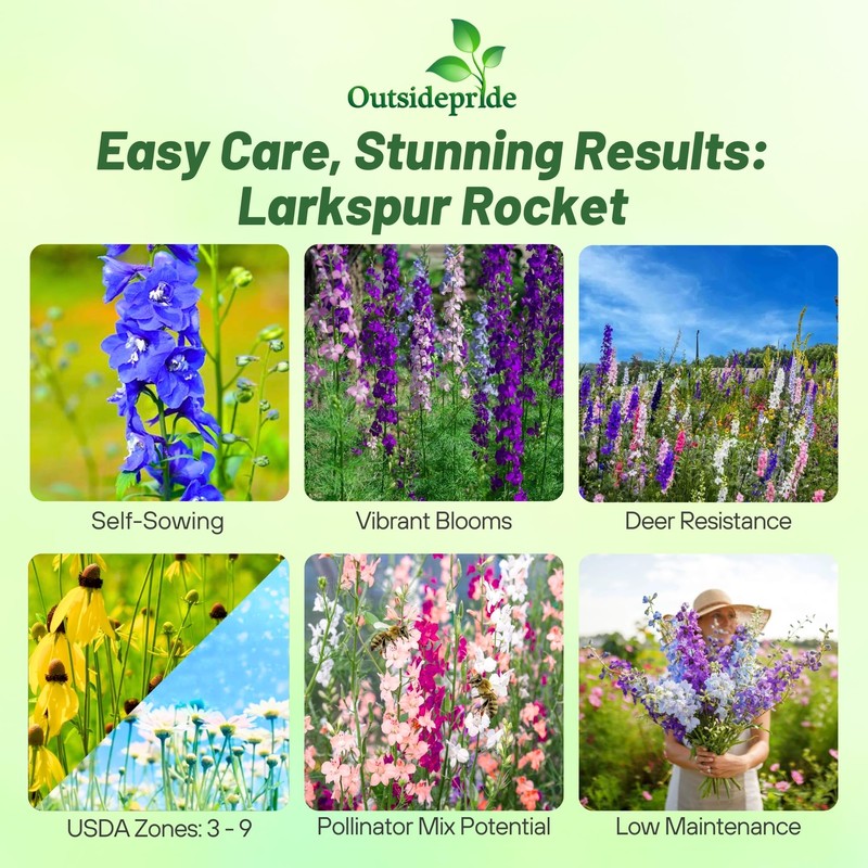 Outsidepride Mixed Rocket Larkspur Seeds for Planting Outdoors - 1000