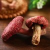 CHLYAET Dried Russula Red Mushroom Honggu (100g)