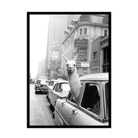 Martin Kench Design Poster Wall Pictures, Black and White Alpaca, Without Frame Unframed Decorative Paintings, Decoration for Living Room, Office, Hallway, Entrance (Style A, 30 x 40 cm)