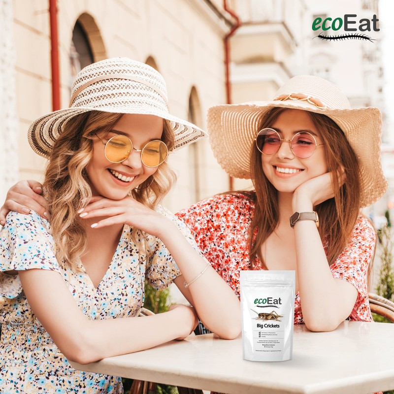 ecoEat Edible Insects Big Black Crickets to Eat – Edible