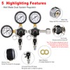 FERRODAY Two System CO2 Regulator, Dual Output CGA-320 CO2 regulator