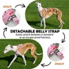 Huntboo Escape Proof Dog Harness – No Pull, No Slip,