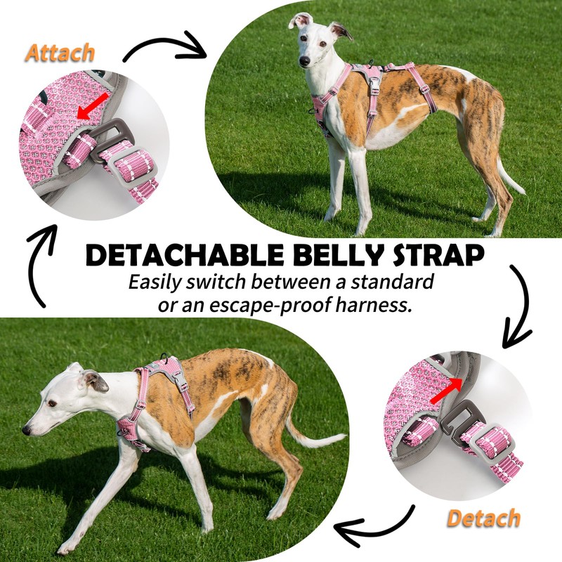Huntboo Escape Proof Dog Harness – No Pull, No Slip,