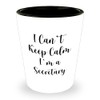 Funny I Can't Keep Calm I'm A Secretary Gifts -