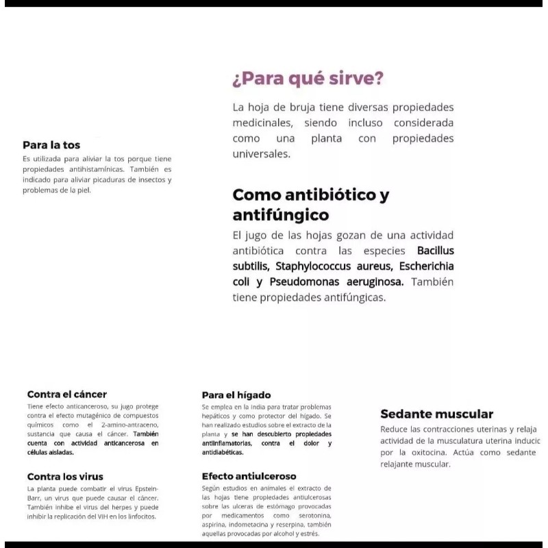 hoja de bruja para te o extracto bruja Mala Madre