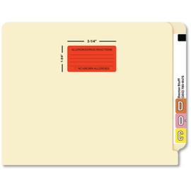 Allergies Drug Reactions Chart Label, Fluorescent Red, 3-1/4" x 1-3/4", Permanent Adhesive, Medical Records, Patient Safety, 250 Stickers/Box, Doctor Stuff