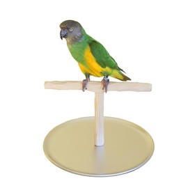 Mini Tabletop NU Perch - T Perch Stand for Green Cheek Conure, Parakeet, Cockatiel