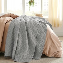 Bedsure Queen Quilt Bedding Set - Lightweight Summer Quilt Full/Queen - Light Grey Bedspread Queen Size - Bedding Coverlet for All Seasons (Includes 1 Quilt, 2 Pillow Shams)