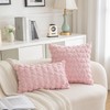 Set of 2 Heart Love Cute Pink Decorative Throw Pillow