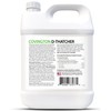 Covington PRO-LINE D-THATCHER Liquid Dethatcher (32oz) – Lawn Thatch Remover