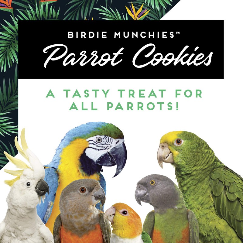 Oven Fresh Bites Baked Birdie Munchies Corn Fritter Treats, 4