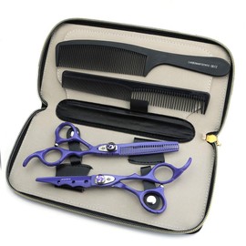 JEISENYU Jieesenyu Hairdressing Scissors 6'' High End Flame Screw 440C Steel