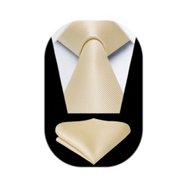 HISDERN Mens Ties Champagne Ties for Men Formal Necktie with Pocket Square Set Satin Silk Pale Beige Neck Tie Set Classic Pastel Tie Handkerchiefs Wedding
