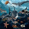 AAGWW Kids Simulated Sea Animal Model Mini Shark, Dolphin, Crab,