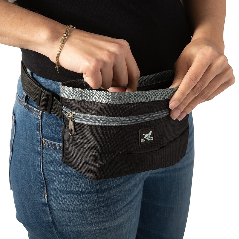 Pounce + Fetch Treat and Training Pouch | Dimensions: 8.5"x