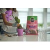 Miracle-Gro Orchid Potting Mix Coarse Blend, 8 qt.