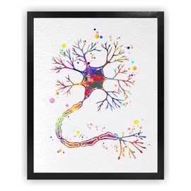 Dignovel Studios 8X10 Unframed Motor Neuron Watercolor Print Science Art Neurology Medical Art Brain Neuroscience Art Neurologist Clinic Wall Decor DN634