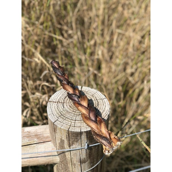 Bullysticks Organic 12" Braided Bully Sticks for Dogs - All