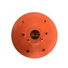 LITEC DP057 Shape Up Twister