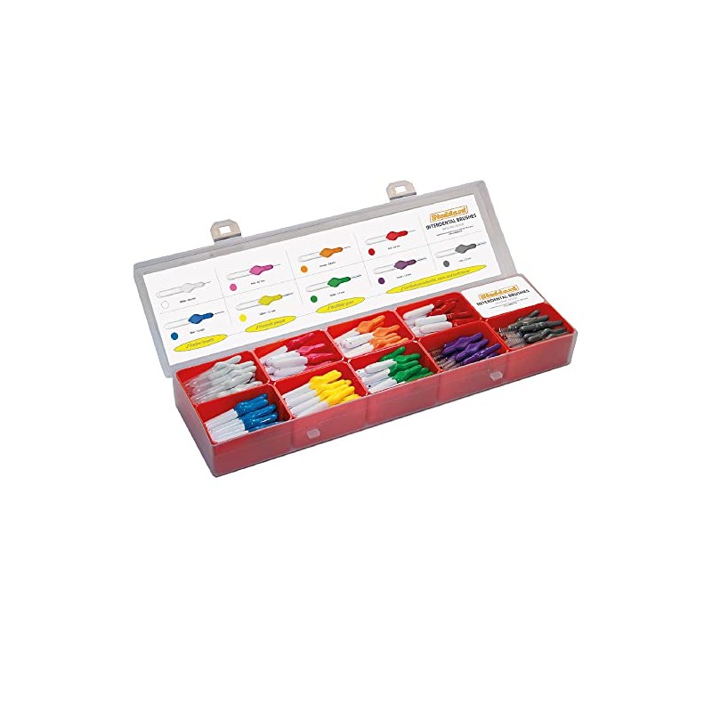 Stoddard Icon Original Clinic Box Containing 180 Brushes