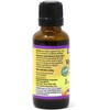 BlueBonnet Liquid Vitamin D3 Drops 1000 IU, Citrus, 1 Ounce,