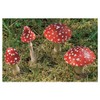 Toadstool Garden Decoration Resin Set of 2