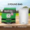 Impresa 2 lbs. Salt for Fly Shooters - Large Grain