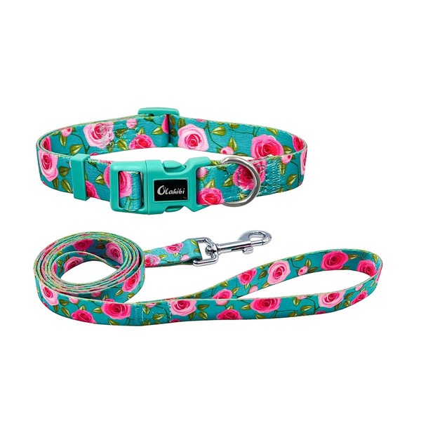 Olahibi Dog Collar and Leash Combo Set, Cute Rose Pattern,