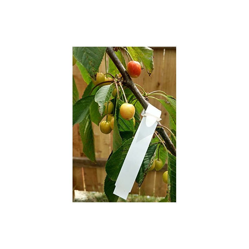 Dmarketline 1000 White WRAP Around Plastic Thermal Plant Labels 7"