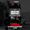 PROSUPPS PROSUPPS Creatine Monohydrate Powder for Men & Women, Unflavored