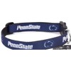 Collar para perro universitario (mediano, Penn State Nittany Lions)