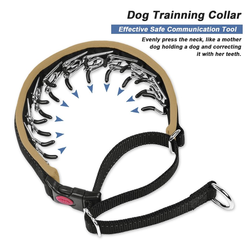 Monstoyo Martingale Collar for Dogs, Hidden No Pull Dog Collar