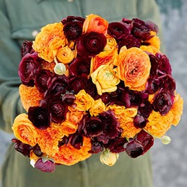Ranunculus Bulbs - Fire & Wine Mix - 20 Bulbs - Mixed Flower Bulbs, Corm Attracts Bees, Attracts Pollinators, Easy to Grow & Maintain, Fragrant, Container Garden