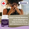 MAXION Maxion Stress Relief, 80.4g Powder with Lion's Mane, Maitake,