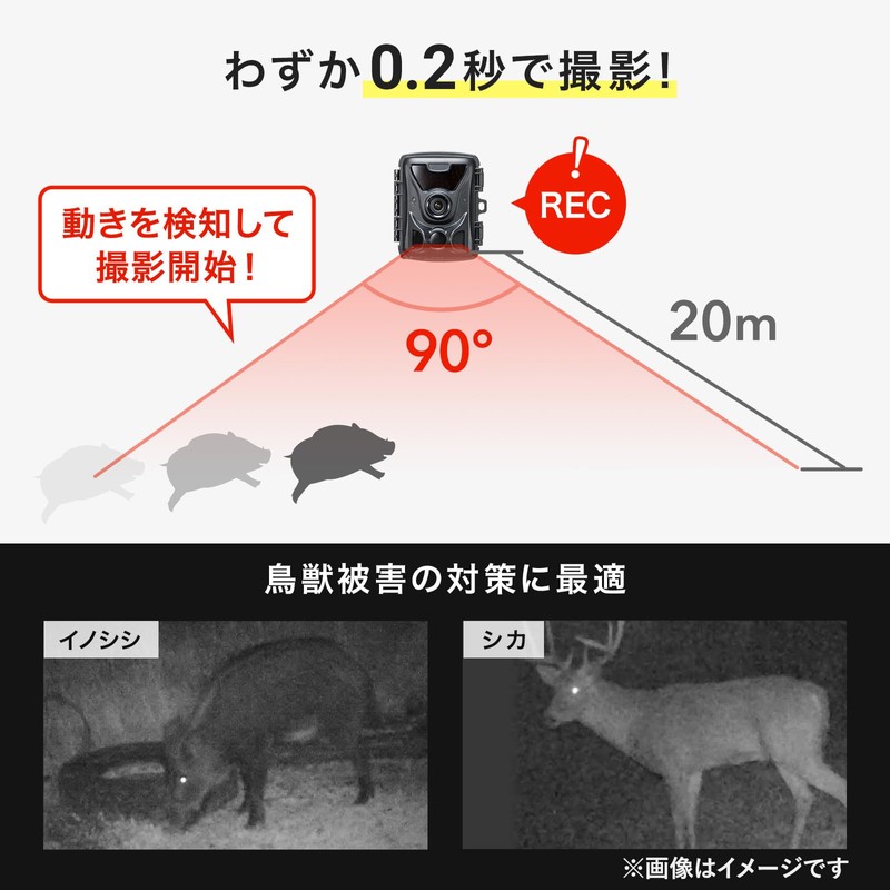 Sanwa Supply CMS-SC07BK Trail Camera with Continuous Recording Function