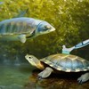 2Pcs Turtle Cleaning Brush Mini Double-Sided Cleaning Brush Tortoise Accessories