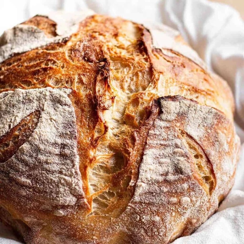Heritage Sour Sourdough Starter Dehydrated Culture Active German Bavarian Style