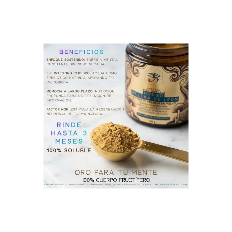 Hongo Melena De León Polvo Premium Lions Mane Mushroom Extract