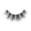 i-Envy 2 Pairs False Eyelashes L Curl Natural Lashes Salon
