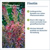 NatuGena Fisetin, Quercetin Spermidin, Trans-Resveratrol, Grüner Tee, Konzentration, 60 Kapseln