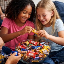 Bulk Assorted Variety Pack of Fun Size Chocolate Candy - Individually Wrapped Chocolate Mix for Parties, Gift Bags, and Everyday Treats (2 LB)