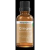 Viva Doria Pure Ginger Essential Oil, Food Grade 0.5 Fl