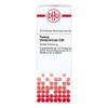 DHU Ferrum Phosphoricum C30 Dilution, 20 ml Solution