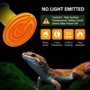 Simple Deluxe 150W 2-Pack Ceramic Heat Emitter Reptile Heat Bulb