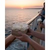 Biodegradable Water Burial Urn Kit - Cruise Approved | Ocean